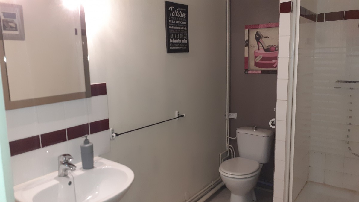 Salle de bain chambre 'ROMANTIQUE' avec 1 lavabo, 1 douche et 1 wc