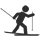 Ski de fond