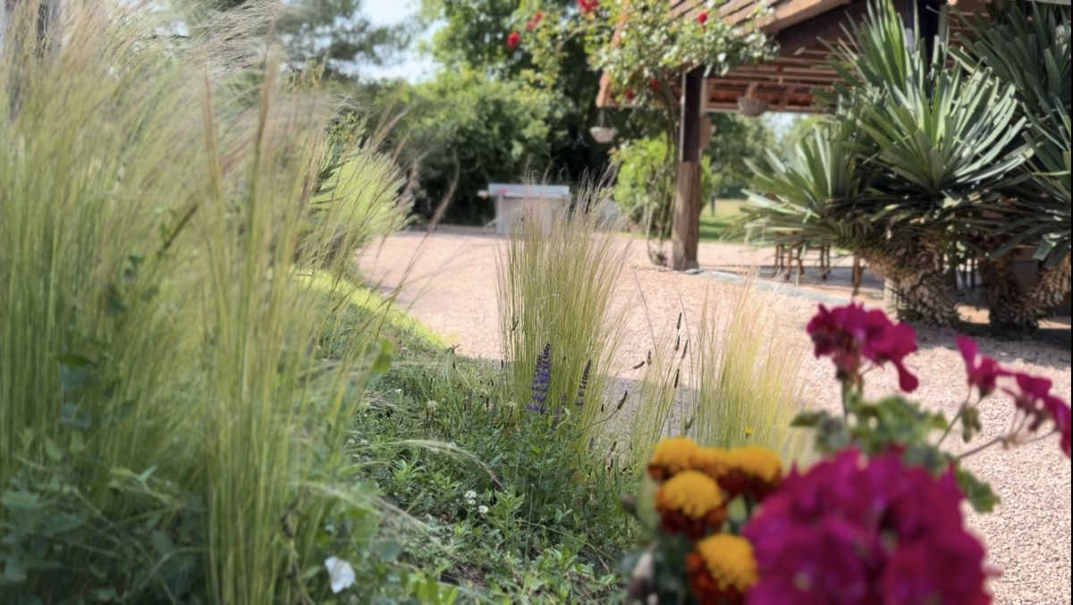 VERDURE ET FLEURS