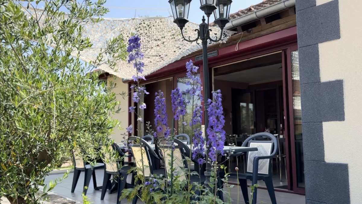 TERRASSE PETIT DEJEUNER