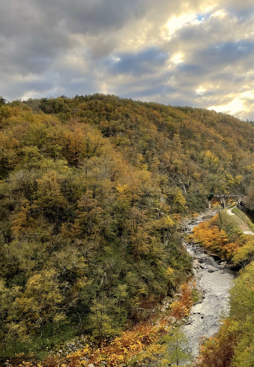 Couleurs d'automne